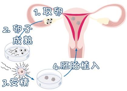 就诊指南